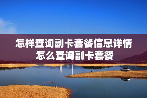 怎样查询副卡套餐信息详情 怎么查询副卡套餐