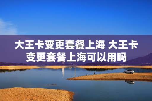 大王卡变更套餐上海 大王卡变更套餐上海可以用吗