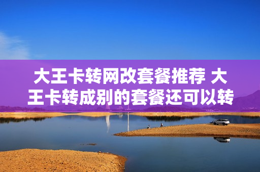 大王卡转网改套餐推荐 大王卡转成别的套餐还可以转回来吗