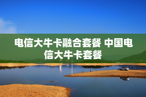 电信大牛卡融合套餐 中国电信大牛卡套餐
