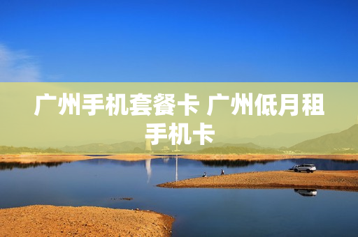 广州手机套餐卡 广州低月租手机卡