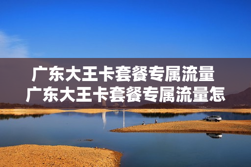 广东大王卡套餐专属流量 广东大王卡套餐专属流量怎么用