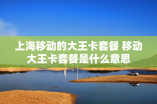 上海移动的大王卡套餐 移动大王卡套餐是什么意思