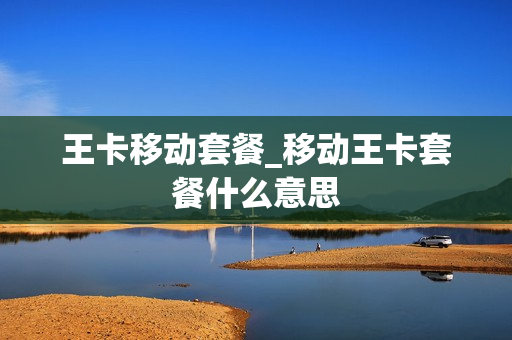 王卡移动套餐_移动王卡套餐什么意思