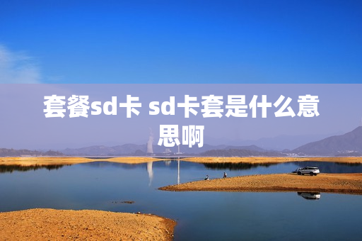 套餐sd卡 sd卡套是什么意思啊