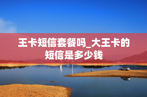 王卡短信套餐吗_大王卡的短信是多少钱