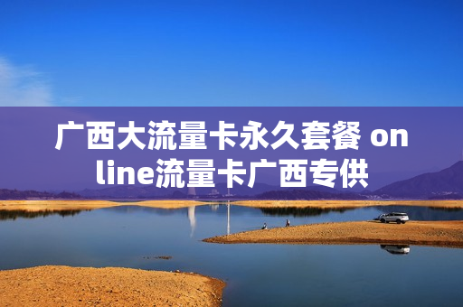 广西大流量卡永久套餐 online流量卡广西专供