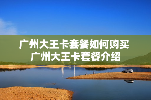 广州大王卡套餐如何购买 广州大王卡套餐介绍