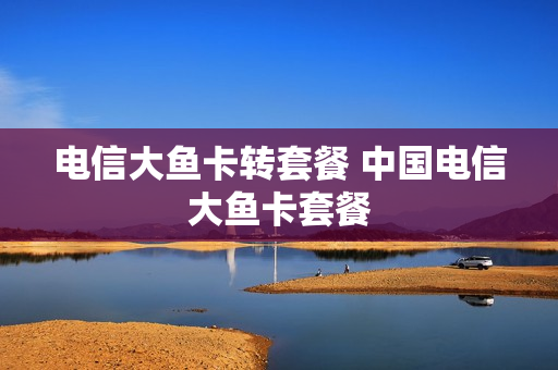 电信大鱼卡转套餐 中国电信大鱼卡套餐