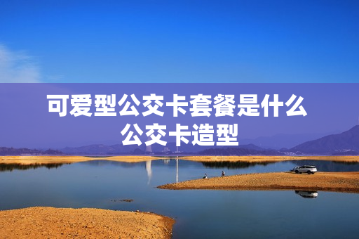 可爱型公交卡套餐是什么 公交卡造型