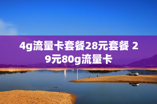 4g流量卡套餐28元套餐 29元80g流量卡
