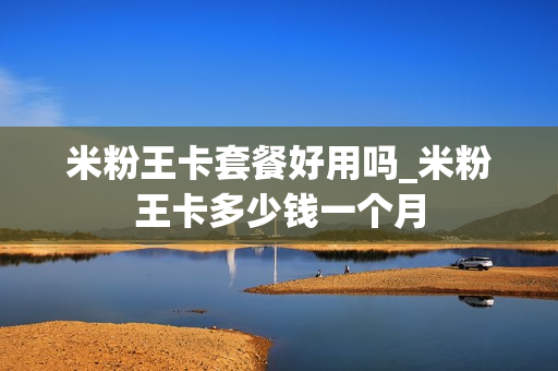 米粉王卡套餐好用吗_米粉王卡多少钱一个月