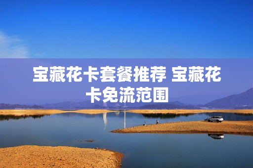 宝藏花卡套餐推荐 宝藏花卡免流范围