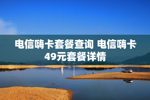 电信嗨卡套餐查询 电信嗨卡49元套餐详情