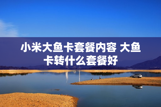 小米大鱼卡套餐内容 大鱼卡转什么套餐好