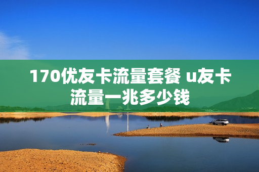 170优友卡流量套餐 u友卡流量一兆多少钱