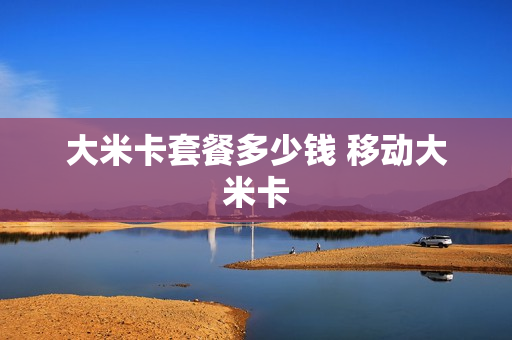 大米卡套餐多少钱 移动大米卡