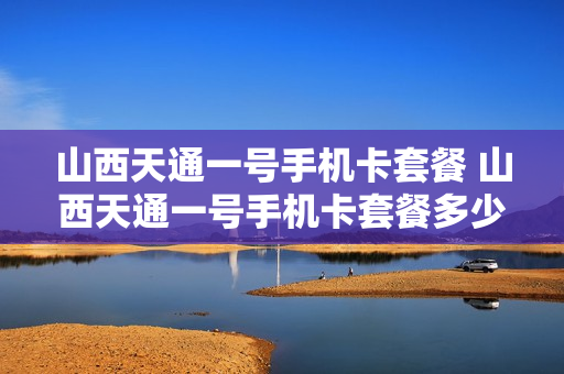 山西天通一号手机卡套餐 山西天通一号手机卡套餐多少钱