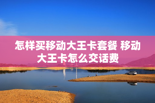 怎样买移动大王卡套餐 移动大王卡怎么交话费