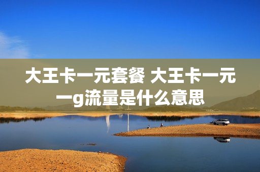 大王卡一元套餐 大王卡一元一g流量是什么意思
