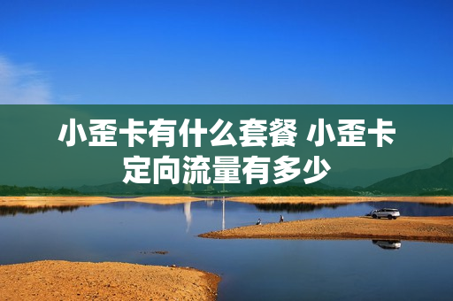 小歪卡有什么套餐 小歪卡定向流量有多少