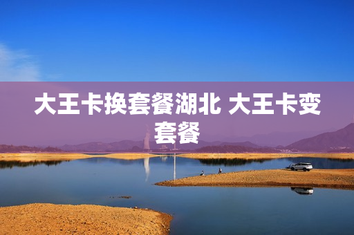 大王卡换套餐湖北 大王卡变套餐