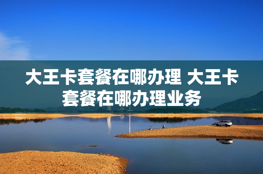大王卡套餐在哪办理 大王卡套餐在哪办理业务
