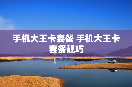 手机大王卡套餐 手机大王卡套餐靓巧