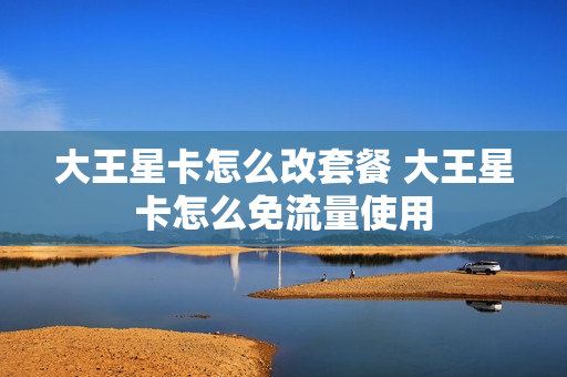 大王星卡怎么改套餐 大王星卡怎么免流量使用