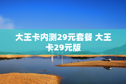 大王卡内测29元套餐 大王卡29元版