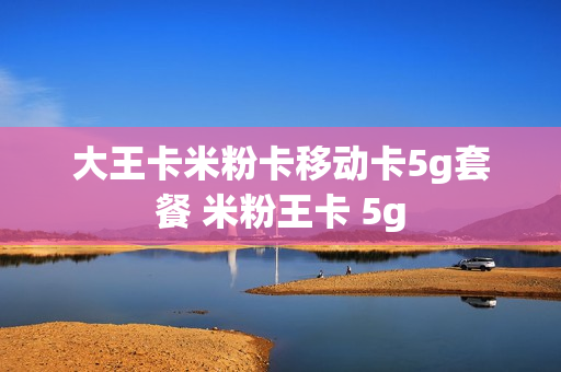 大王卡米粉卡移动卡5g套餐 米粉王卡 5g