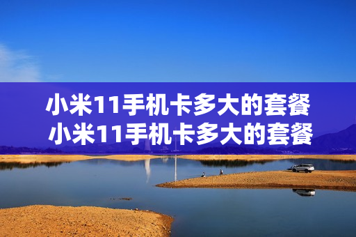 小米11手机卡多大的套餐 小米11手机卡多大的套餐好用