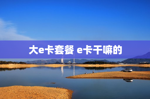大e卡套餐 e卡干嘛的