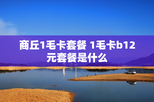 商丘1毛卡套餐 1毛卡b12元套餐是什么