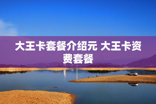 大王卡套餐介绍元 大王卡资费套餐