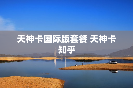 天神卡国际版套餐 天神卡知乎