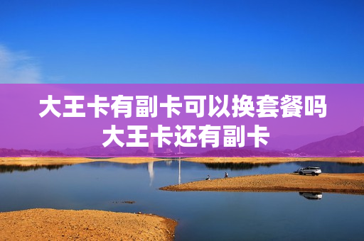 大王卡有副卡可以换套餐吗 大王卡还有副卡