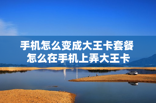 手机怎么变成大王卡套餐 怎么在手机上弄大王卡