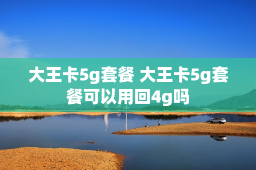 大王卡5g套餐 大王卡5g套餐可以用回4g吗