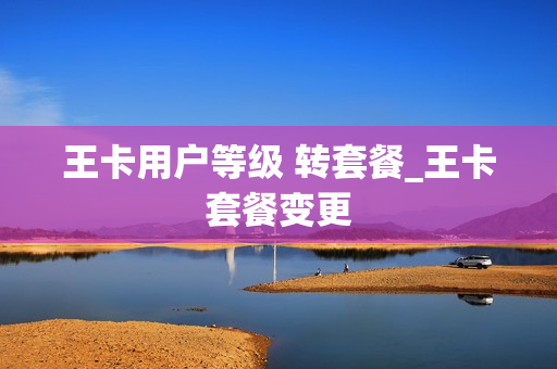 王卡用户等级 转套餐_王卡套餐变更