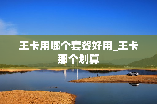 王卡用哪个套餐好用_王卡那个划算