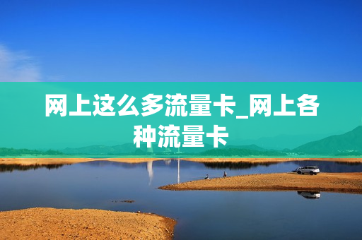 网上这么多流量卡_网上各种流量卡