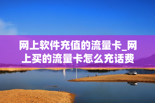 网上软件充值的流量卡_网上买的流量卡怎么充话费