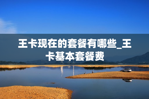 王卡现在的套餐有哪些_王卡基本套餐费