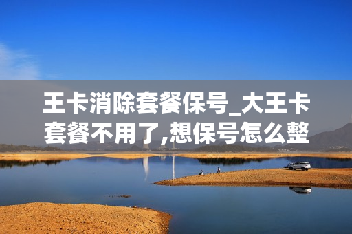 王卡消除套餐保号_大王卡套餐不用了,想保号怎么整