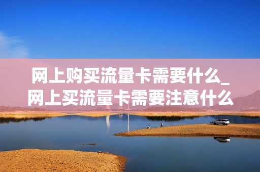 网上购买流量卡需要什么_网上买流量卡需要注意什么