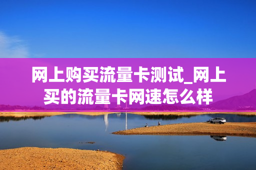 网上购买流量卡测试_网上买的流量卡网速怎么样
