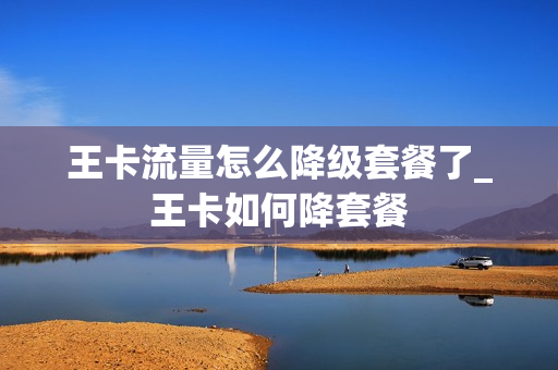 王卡流量怎么降级套餐了_王卡如何降套餐
