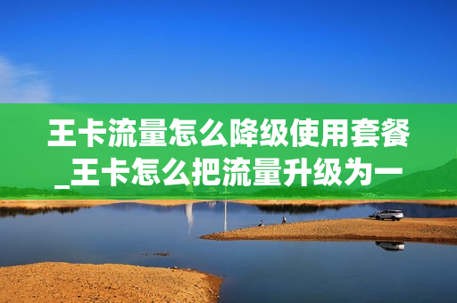 王卡流量怎么降级使用套餐_王卡怎么把流量升级为一块钱一个g