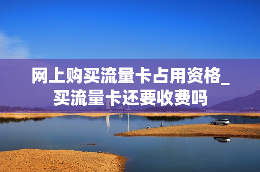 网上购买流量卡占用资格_买流量卡还要收费吗